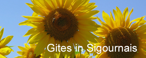 Gites in Sigournais